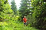 2014-07-05_Laengental-N-Hochweg (678). JPG